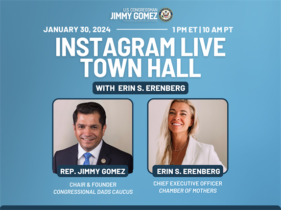 Virtual Town Hall